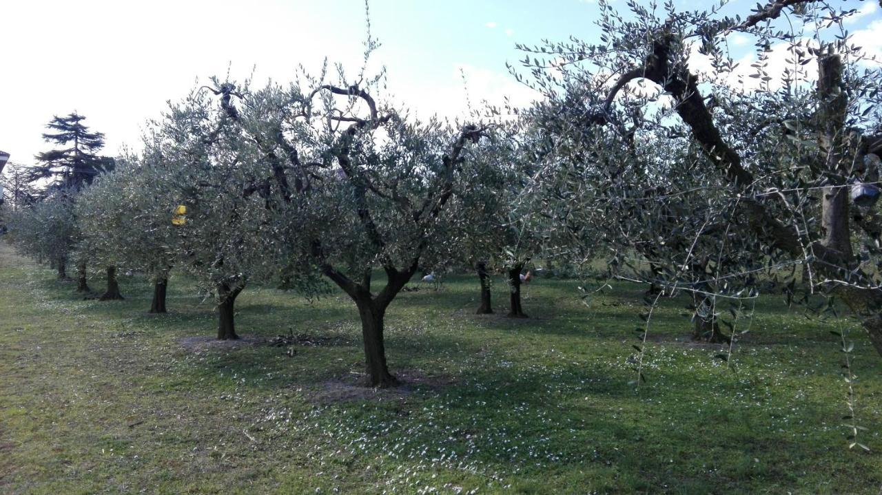 Country House Bike Friendly Famiglia Belleggia Apartment Porto Sant'Elpidio Exterior photo
